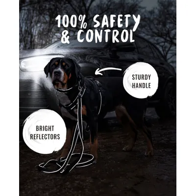 Rudelkönig Harnais pour chien Paola réfléchissant rembourré