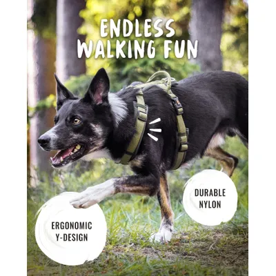 Rudelkönig Harnais pour chien Bella réglable rembourré