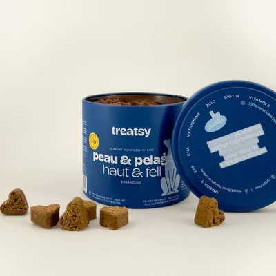 Treatsy Complément Alimentaire pour chien - Peau & Pelage
