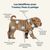 Treatsy Complément Alimentaire pur chien - Peau & Pelage