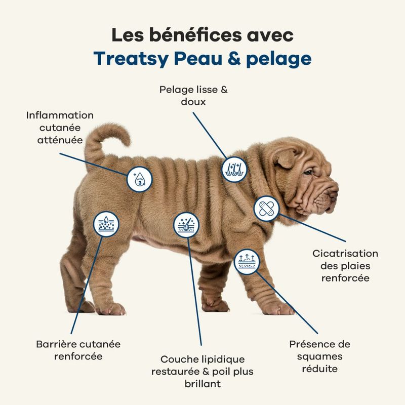 Treatsy Complément Alimentaire pur chien - Peau & Pelage