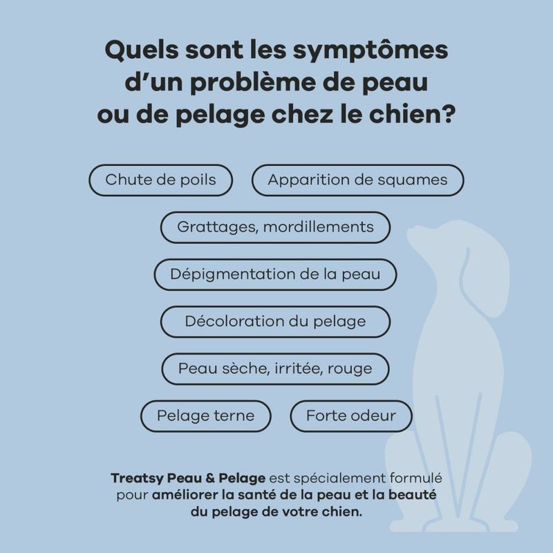 Treatsy Complément Alimentaire pur chien - Peau & Pelage