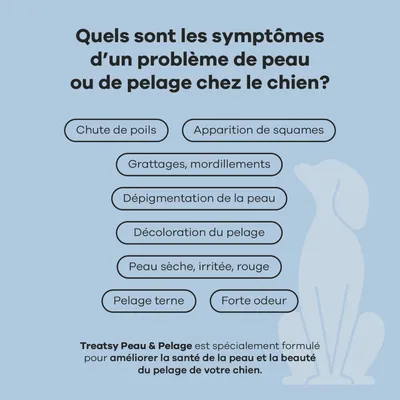Treatsy Complément Alimentaire pour chien - Peau & Pelage