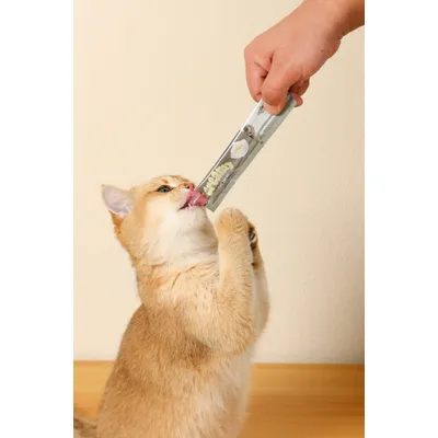 M-PETS - CREAMY Cabillaud & Boeuf - Friandise chat - 4x15g