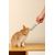 M-PETS - CREAMY Cabillaud & Boeuf - Friandise chat - 4x15g