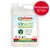 SANITERPEN VIRACTIF CONCENTRE 5L