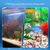 ZENITHMIND Aquarium filtre piscine charbon actif