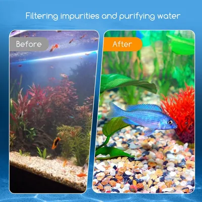 ZENITHMIND Aquarium filtre piscine charbon actif