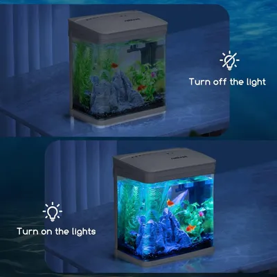 ZENITHMIND Éclairage LED pour aquarium, (1,5w 30 cm, lumière blanche)