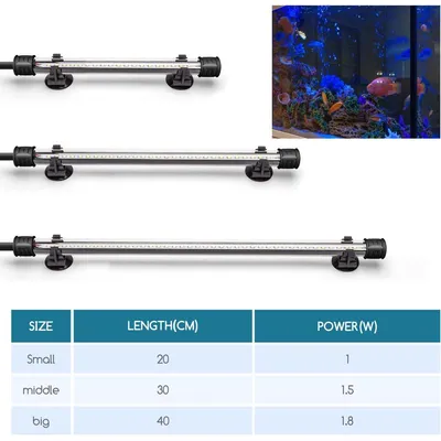 ZENITHMIND Éclairage LED pour aquarium, (1,5w 30 cm, lumière blanche)