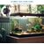 ZENITHMIND Éclairage LED pour aquarium, (1,5w 30 cm, lumière blanche)