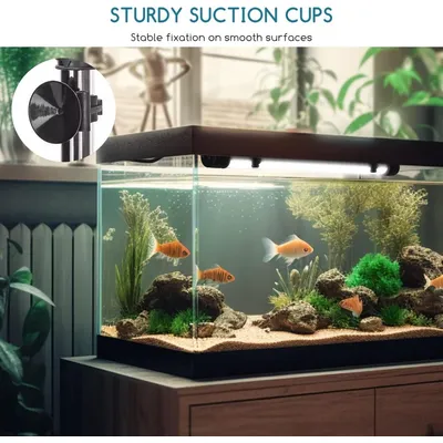 ZENITHMIND Éclairage LED pour aquarium, (1,5w 30 cm, lumière blanche)