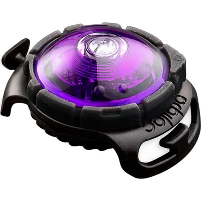 Lampe de sécurité pour chien Dog Dual - VIOLET Lampe de sécurité pour chien Dog Dual - VIOLET