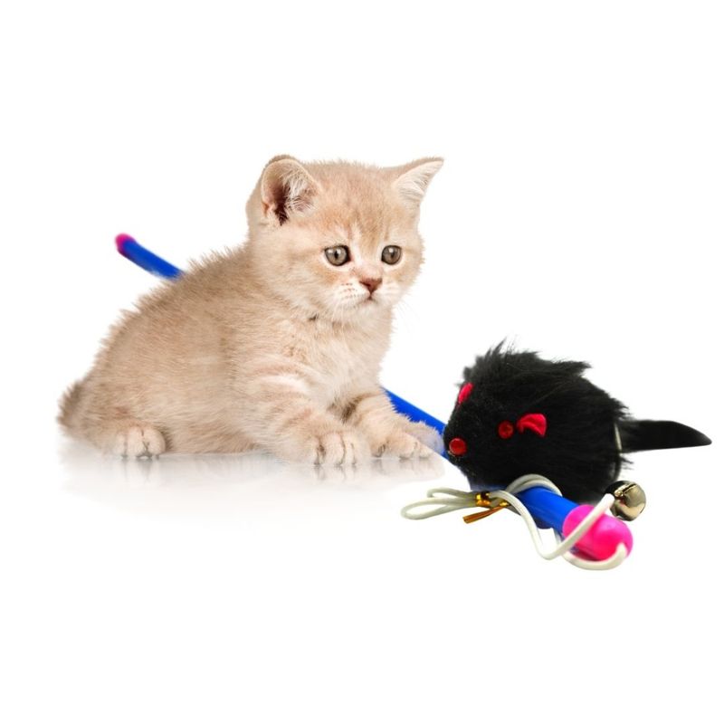 Lyra Pet® Canne à pêche pour chats avec souris noir