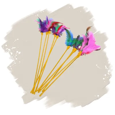 Lyra Pet® Canne à pêche pour chats orange avec ressort Lyra Pet® Canne à pêche pour chats orange avec ressort