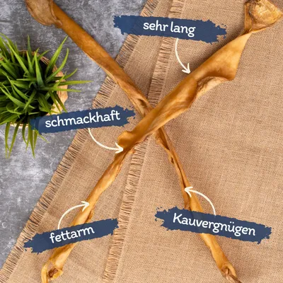 Lyra Pet® XXL Barres de peau de tête de bœuf 70 cm