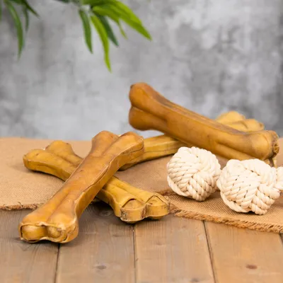 Lyra Pet® Os à mâcher env. 30 cm