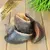 Lyra Pet® Rinderhufe je ca. 80 g