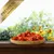 Lyra Pet® carottes Lyra Pet® carottes
