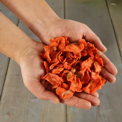 Lyra Pet® carottes Lyra Pet® carottes