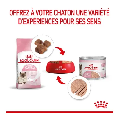 ROYAL CANIN   Chat - Mother Babycat Loaf