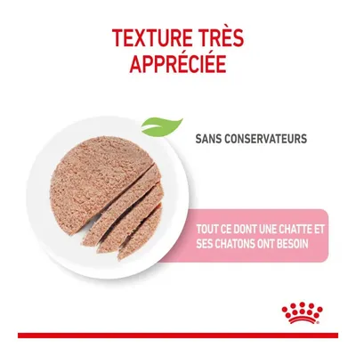 ROYAL CANIN   Chat - Mother Babycat Loaf