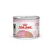 ROYAL CANIN - Royal Canin Cat - Mother & Babycat Laib