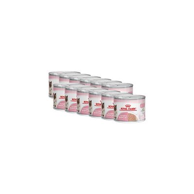 ROYAL CANIN - Royal Canin Cat - Mother & Babycat Laib