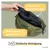 PiuPet® Leckerlitasche wasserdicht I Gassitasche 3 Fächern & Innentasche