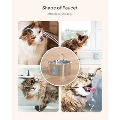 LovuPet Fontaine à Eau pour Chat–Fontaine à Eau en Acier Inoxydable de 2,2L