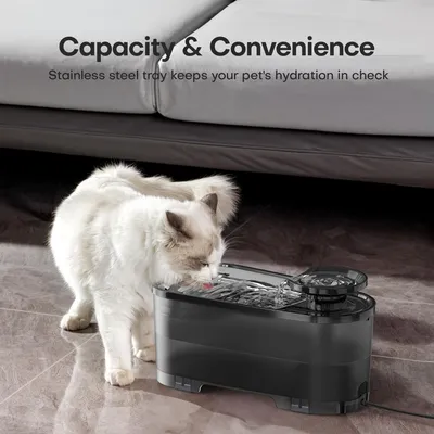 LovuPet Fontaine à Eau Chat 2.5 L, Réservoir d'eau Noir Translucide