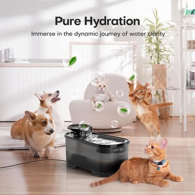 LovuPet Fontaine à Eau Chat 2.5 L, Réservoir d'eau Noir Translucide