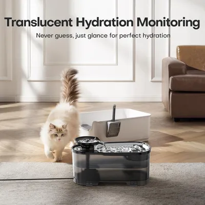 LovuPet Fontaine à Eau Chat 2.5 L, Réservoir d'eau Noir Translucide