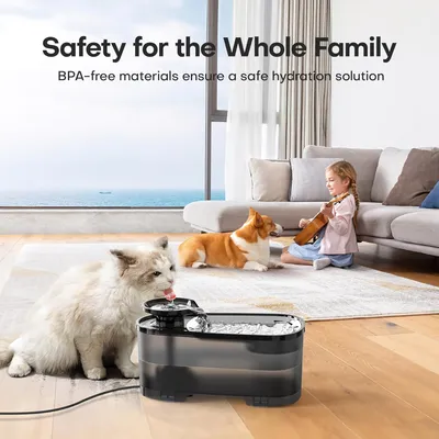 LovuPet Fontaine à Eau Chat 2.5 L, Réservoir d'eau Noir Translucide