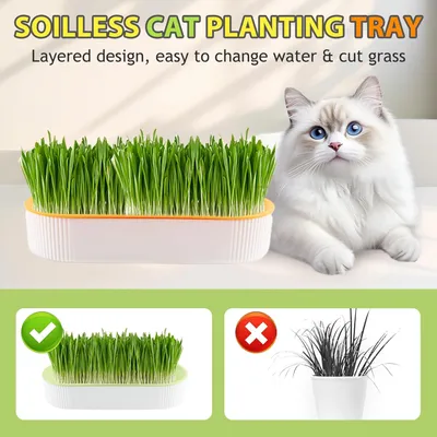 LovuPet Lot de 2 Jardinières d'herbe à Chat, Kit de Culture Hydroponique