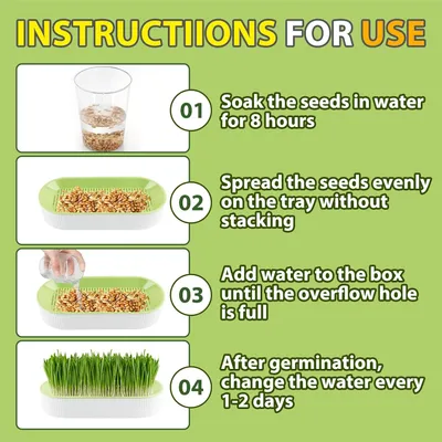 LovuPet Lot de 2 Jardinières d'herbe à Chat, Kit de Culture Hydroponique