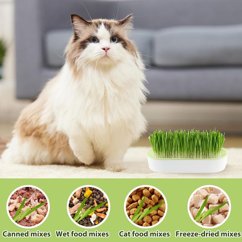 LovuPet Lot de 2 Jardinières d'herbe à Chat, Kit de Culture Hydroponique