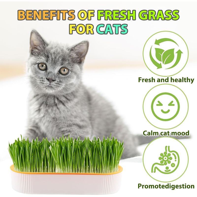 LovuPet Lot de 2 Jardinières d'herbe à Chat, Kit de Culture Hydroponique