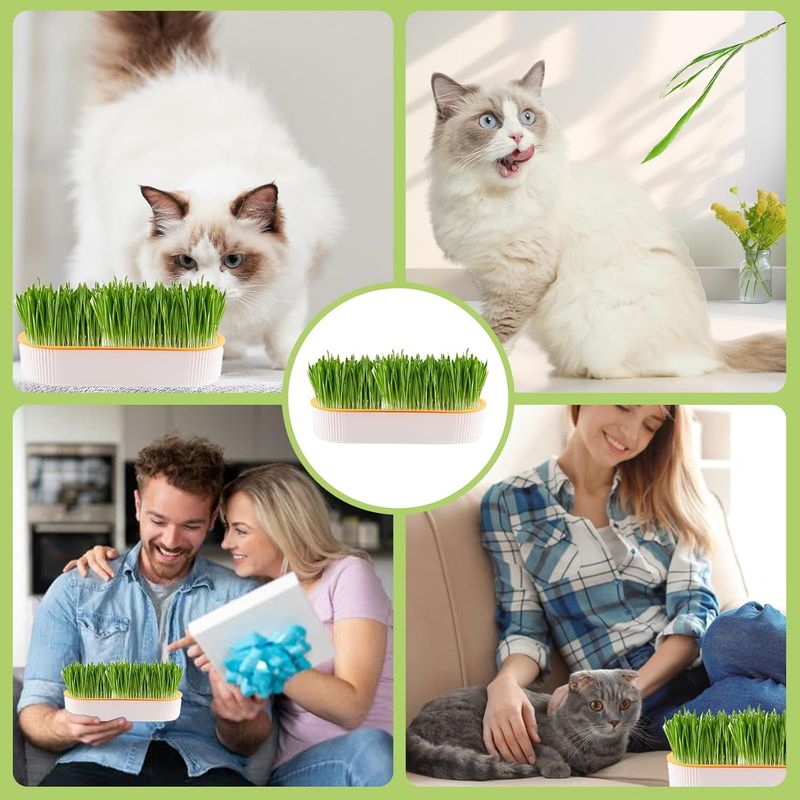 LovuPet Lot de 2 Jardinières d'herbe à Chat, Kit de Culture Hydroponique