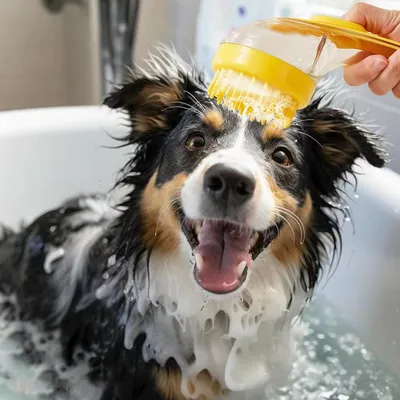 LovuPet Brosse distributrice de shampoing pour chiens et chats