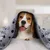 ZENITHMIND 6 x couverture pour chien, coussin chaud, 120 * 100 cm ZENITHMIND 6 x couverture pour chien, coussin chaud, 120 * 100 cm