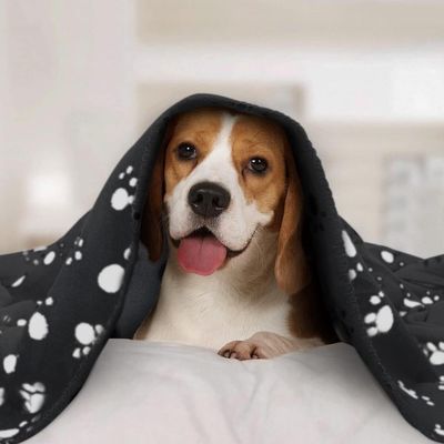ZENITHMIND 6 x couverture pour chien,coussin chaud pour chiot,75 * 75 cm