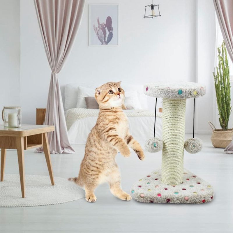 ZENITHMIND Chat gratte les arbres, tour de jeu d'escalade