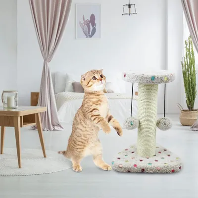 ZENITHMIND Chat gratte les arbres, tour de jeu d'escalade