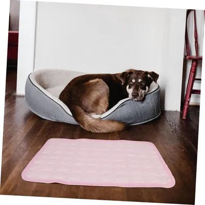ZENITHMIND Tapis de Refroidissement pour Animaux 70x55cm