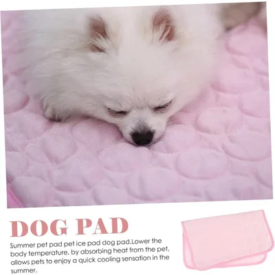 ZENITHMIND Tapis de Refroidissement pour Animaux 70x55cm