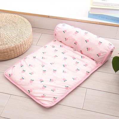 ZENITHMIND Tapis frais pour animaux de compagnie avec oreillers 60x40cm