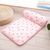 ZENITHMIND Tapis frais pour animaux de compagnie avec oreillers 60x40cm