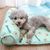 ZENITHMIND Tapis de refroidissement pour chats, chiens, lavable