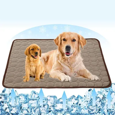 ZENITHMIND Matelas Refroidissant pour Animaux De Compagnie Tapis 70x56cm